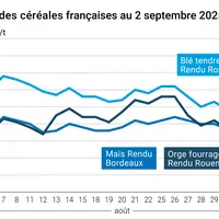 Graphique prix blé orge maïs France du 2 septembre 2025