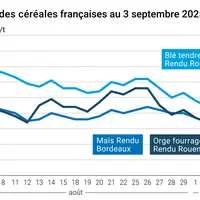 Graphique prix blé orge maïs France du 3 septembre 2025