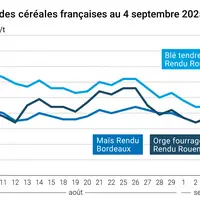 Graphique prix blé orge maïs France du 4 septembre 2025