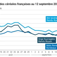 Graphique blé orge maïs France du 12 septembre 2025