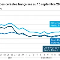 Graphique prix blé orge maïs France du 16 septembre 2025