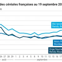 Graphique prix blé orge maïs du 19 septembre 2025