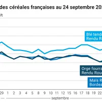 Graphique prix blé orge maïs France du 24 septembre 2025