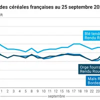 Graphique prix blé orge maïs France du 25 septembre 2025