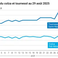 Graphique prix colza tournesol France au 29 août 2025