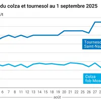 Graphique prix colza tournesol France du 1er septembre 2025