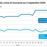 Graphique prix colza tournesol France du 4 septembre 2025