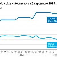 Prix du colza rendu Rouen et du tournesol rendu Saint Nazaire
