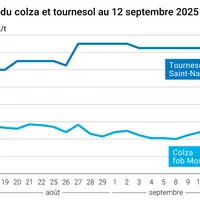 Graphique prix colza tournesol France du 12 septembre 2025
