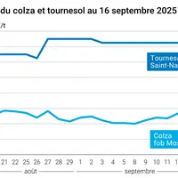 Graphique prix colza tournesol France du 16 septembre 2025