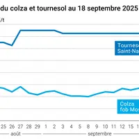 Graphique prix colza tournesol France du 18 septembre 2025