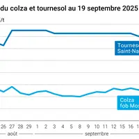Graphique prix colza tournesol du 19 septembre 2025