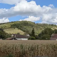 Champ de maïs, Vexin, septembre 2025