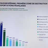 graphique sur les exportations agricoles et agroalimentaires françaises par zone géographique en 2024