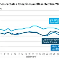Graphique prix blé orge maïs France du 30 septembre 2025