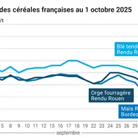 Graphique prix blé orge maïs France du 1er octobre 2025