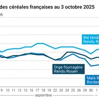 Graphique prix blé orge maïs France du 3 octobre 2025