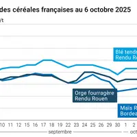 Graphique blé orge maïs France du 6 octobre 2025