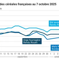 Graphique prix blé orge maïs France du 7 octobre 2025