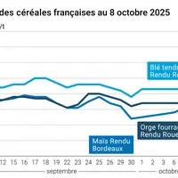Graphique prix blé orge maïs France au 8 octobre 2025