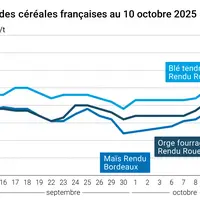 Graphique prix blé orge maïs France au 10 octobre 2025
