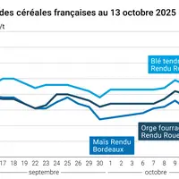 Graphique prix blé orge maïs France du 13 octobre 2025