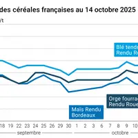 Graphique prix blé orge maïs France du 14 octobre 2025