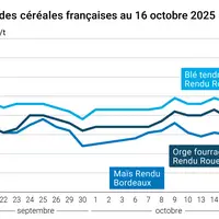 Graphique prix blé orge maïs du 16 octobre 2025
