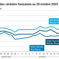 Graphique prix blé orge maïs France du 20 octobre 2025