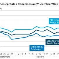 Graphique prix blé orge maïs France au 21 octobre 2025