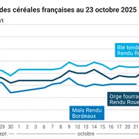 Graphique prix blé orge maïs France du 23 octobre 2025