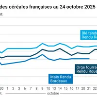 Graphique prix blé orge maïs France du 24 octobre 2025