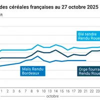 Graphique prix blé orge maïs France du 27 octobre 2025