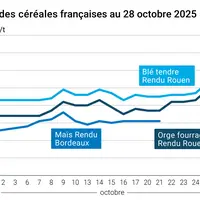 Graphique prix blé orge maïs France du 28 octobre 2025