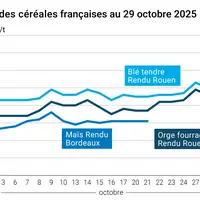 Graphique prix blé orge maïs France au 29 octobre 2025