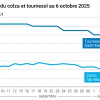Graphique colza tournesol France du 6 octobre 2025