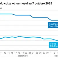 Graphique prix colza tournesol France du 7 octobre 2025