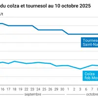 Graphique prix colza tournesol France au 10 octobre 2025