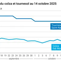 Graphique prix colza tournesol France du 14 octobre 2025