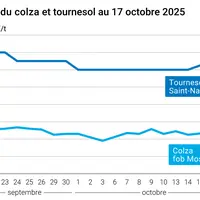 Graphique prix colza tournesol France au 17 octobre