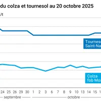 Graphique prix colza tournesol France du 20 octobre 2025