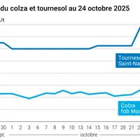 Graphique prix colza tournesol France au 24 octobre 2025