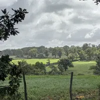 champ sous un ciel nuageux, Creuse, octobre 2025.
