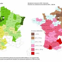 Deux cartes de France qui présentent les rendements du maïs 2025 par département et les écarts par rapport à la récolte 2024.
