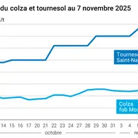 Graphique prix colza tournesol France au 7 novembre 2025