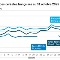 Graphique prix blé maïs orge France au 31 octobre 2025