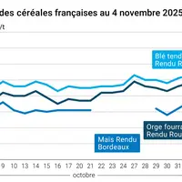 Graphique prix blé orge maïs France au 5 novembre 2025