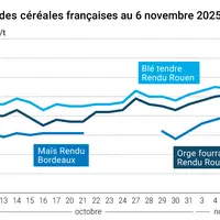 Graphique prix blé maïs orge France au 6 novembre 2025