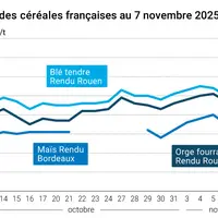 Graphique prix blé maïs orge France au 7 novembre 2025