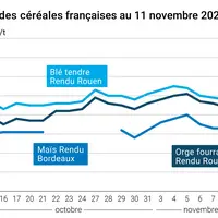 Graphique prix blé maïs orge France au 11 novembre 2025